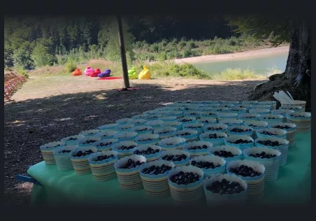 Our Recommendation Images